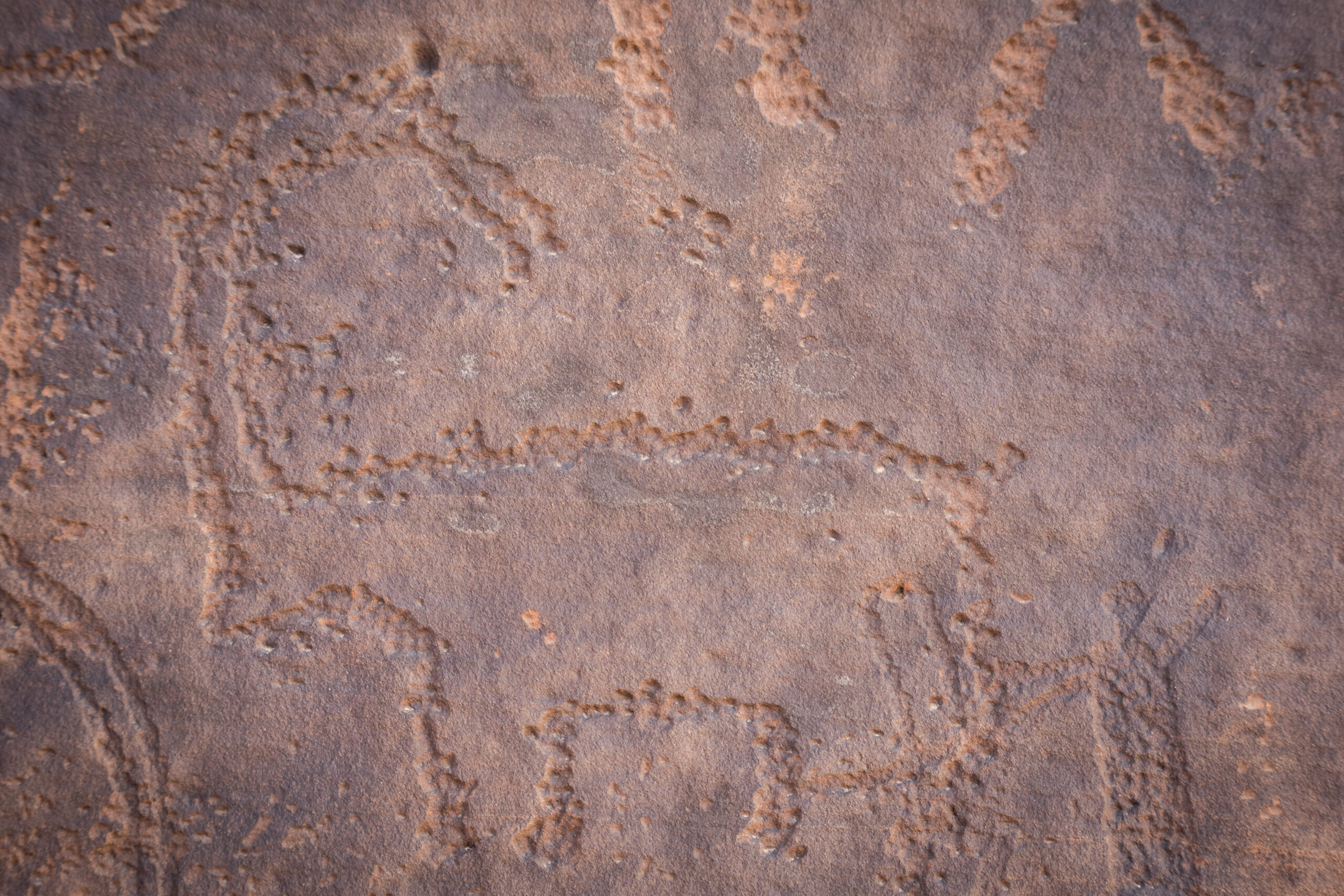 Petroglyphen in Jubbah